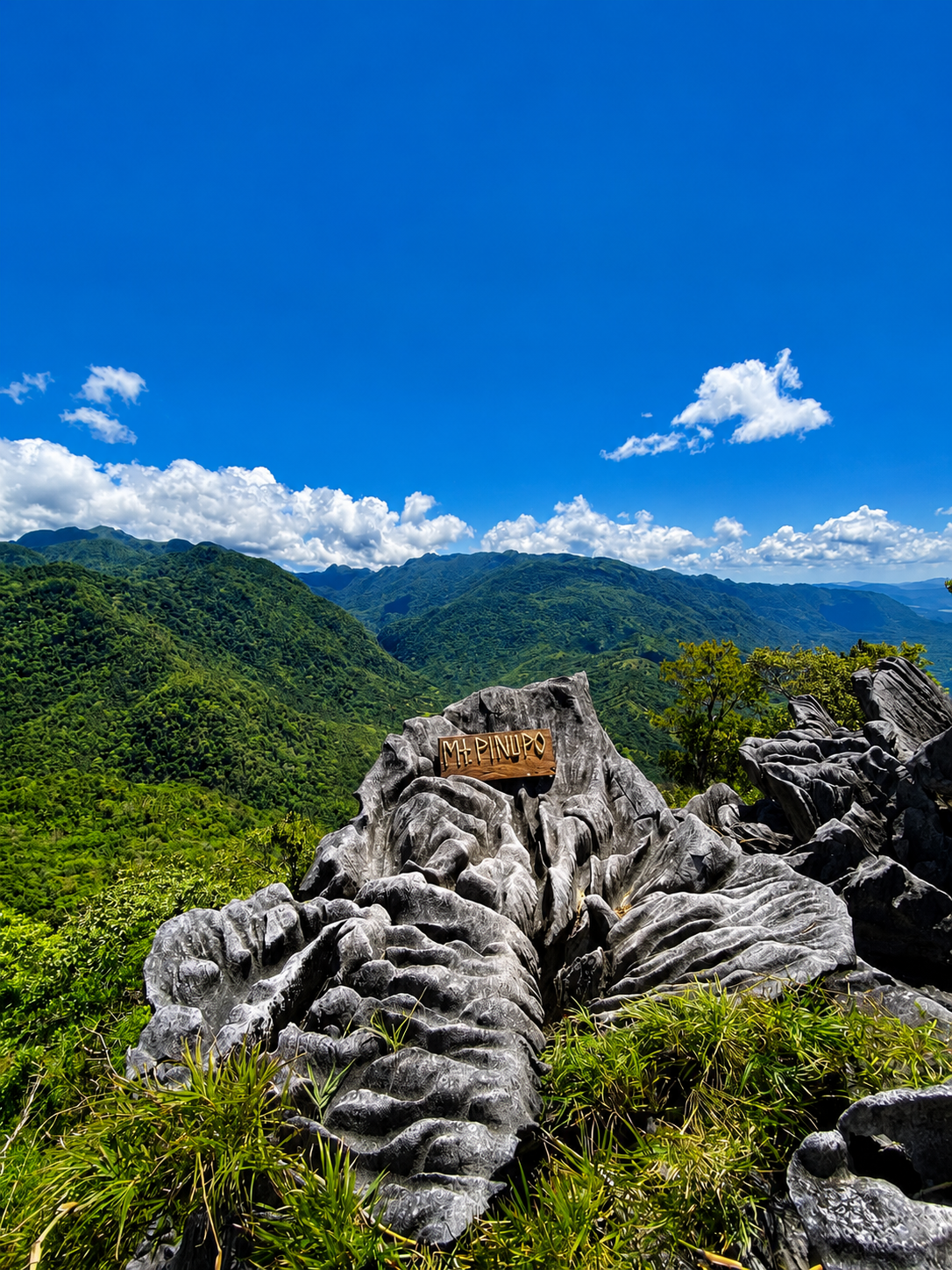 Mt. Pinupo